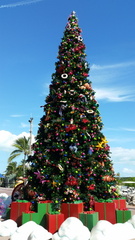 Docked at Castaway Cay (1)