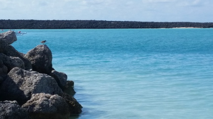 Docked at Castaway Cay (14)