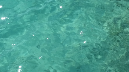 Docked at Castaway Cay (15)